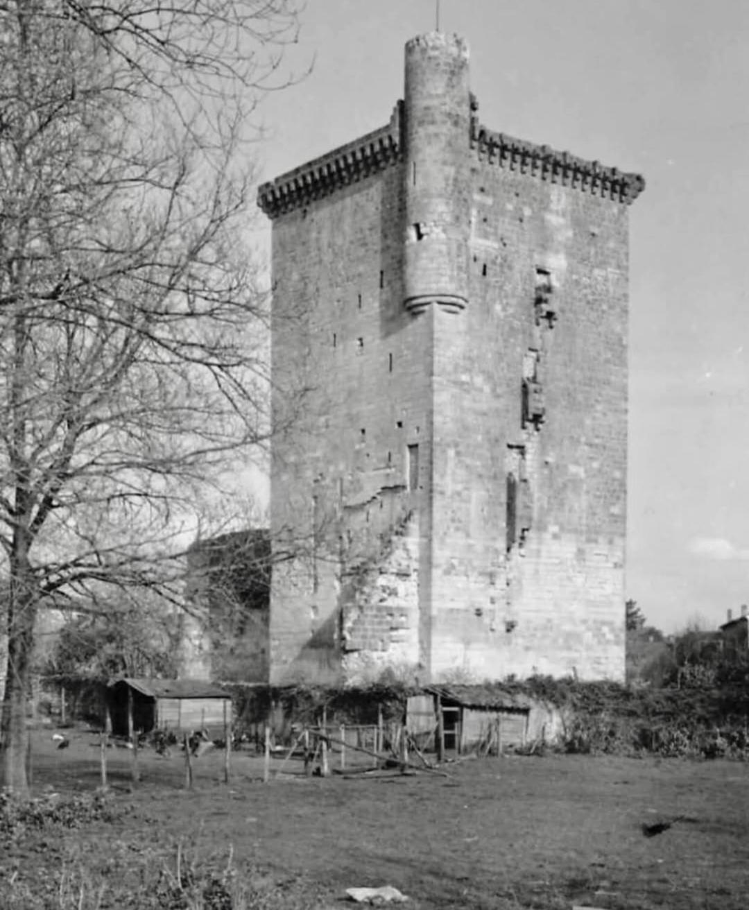 Lesparre-Médoc La Maison De Jeanne מראה חיצוני תמונה